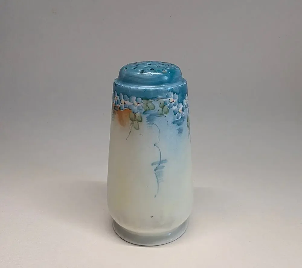 Royal Bavaria Germany Hand Painted Floral Salt Pepper Shaker Porcelain VTG